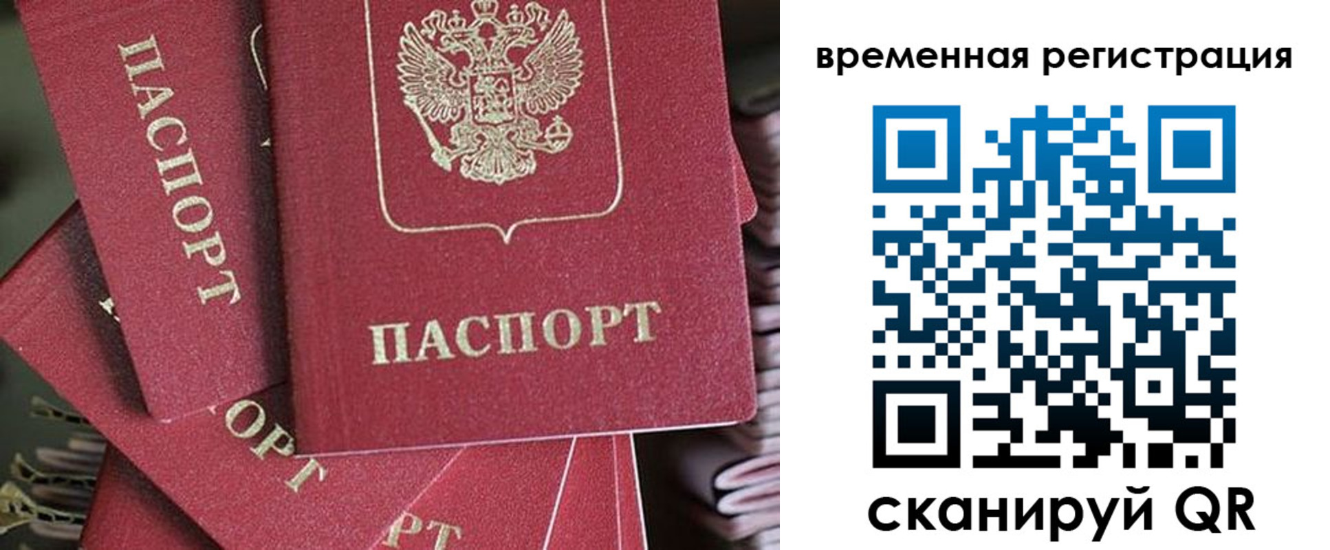 прописка в квартире в Палласовке